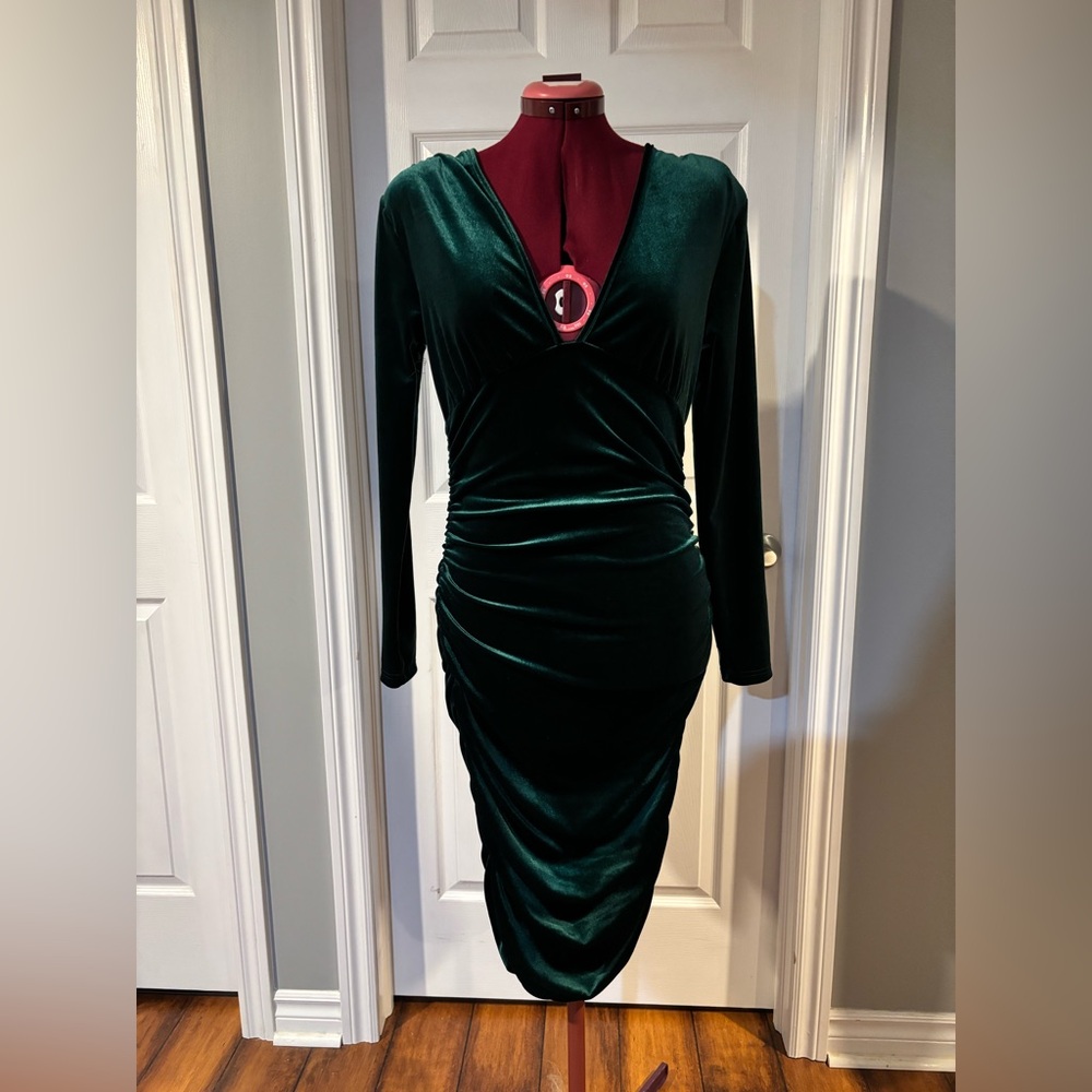 Elegant Green Long Sleeved Velvet Dress